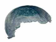 Innenkotflügel hinten links PORSCHE CAYENNE (92A) 4.8 Turbo 95850497101