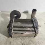 Ladeluftkühler VW PASSAT B5 (3B3) 2.5 TDI 1109020109 059145806