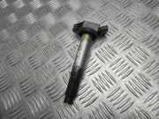 Zündspule Lexus RX 3 (L1) 9091902255