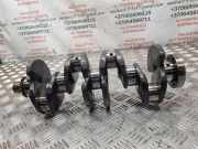 Kurbelwelle VW GOLF PLUS (5M1, 521) 1.9 TDI 038L