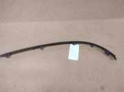 Stoßstangenzierleiste vorne rechts JAGUAR S-TYPE (X200) 2.7 D 4R8317B970