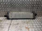 Ladeluftkühler FORD S-MAX 2.0 TDCi