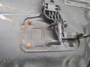 Motorhaube Audi Q5 (8R)