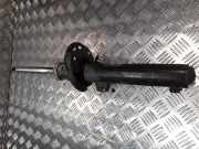 Stoßdämpfer vorne rechts VW CADDY III Furgon (2KA, 2KH, 2CA, 2CH) 1.9 TDI 1T0412103A