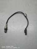 Sauerstoffsensor (Lambdasensor) BMW X3 (G01, F97) xDrive 20 d 028100755