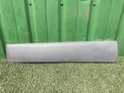 Türleiste vorne links OPEL VIVARO Combi 1.6 CDTI 91165346 8200036088