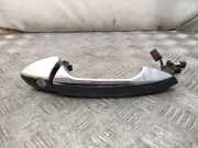 Türaußengriff vorne rechts