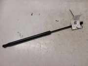 Heckklappe Gasdruckfeder rechts BMW 1 (F21) 116 d 51247239871