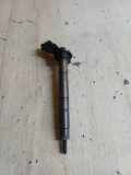 Einspritzdüse AUDI A6 Avant (4F5, C6) 3.0 TDI quattro 489008F020