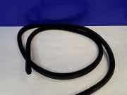 Türgummi rechts vorne Jaguar XJ (X35) AW93F20708AB