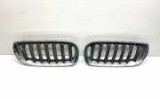 Vorderer oberer Gitter BMW X3 (E83) 2.0 d 3402910 3402909