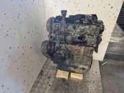 Motor FIAT DUCATO Furgon (244_) 2.3 JTD F1AE0481D