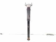 Stoßdämpfer hinten rechts MERCEDES-BENZ C (W204) C 220 CDI (204.002) A2043260600