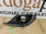 Rahmen für Nebelscheinwerfer Renault Scenic IV (J9) 62086464R