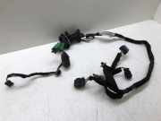 Türverkabelung hinten links CITROËN DS5 2.0 HDi 165 9801373180