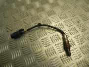 Lambdasonde Opel Vivaro B Kasten (X82) 55579925