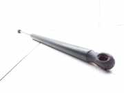 Heckklappendämpfer links Dodge Caliber () 5160017AA