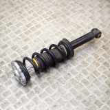 Stoßdämpfer hinten links