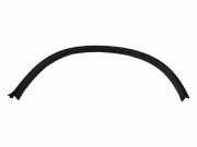 Rear Arch Liner Trim BMW X6 (E71, E72) xDrive 30 d 10503410