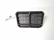 Ziergitter Mercedes-Benz S-Klasse (W221) A2218200775