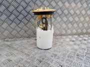 Kraftstofftankpumpe VW PASSAT CC (357) 2.0 TDI 3AA919050H A2C84961400