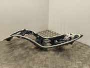 Zierleiste Renault Espace V (JR) 969355941R