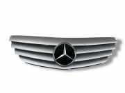 Vorderer oberer Gitter MERCEDES-BENZ B (W245) B 150 (245.231) A1698800183