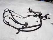 Kabelbaum NISSAN X-TRAIL (T31) 2.0 dCi 24127JG00A