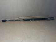 Heckklappe Gasdruckfeder rechts FIAT SEDICI (FY_) 1.9 D Multijet 4x4 4756UW0420N