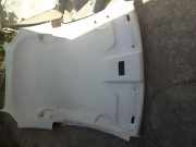 Dachverkleidung FIAT PUNTO (188_) 1.3 JTD 16V