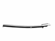 Türpolsterverkleidung hinten links BMW 3 Coupe (E92) 320 d xDrive
