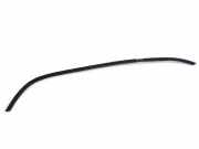 Türgummi links vorne Renault Trafic II Kasten (FL)