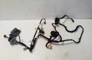Kabel Tür Opel Ampera (D1JOI) 22741563