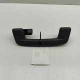 Dachgriff hinten links AUDI Q4 SUV (F4B) 45 e-tron 5H0857643C
