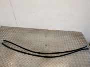 Dachleiste links MERCEDES-BENZ C (W204) C 250 CGI (204.047)
