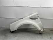 Kotflügel vorne links LAND ROVER RANGE ROVER SPORT (L320) 3.0 D 4x4