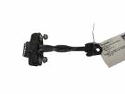 Türanschlag hinten links