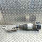 Luftstoßdämpfer vorne rechts AUDI Q7 (4M) 50 TDI Mild Hybrid Quattro 4M0616039AC 4M0413038