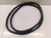 Türgummi rechts vorne Mitsubishi L200 V/Triton (KJ, KK, KL)