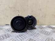 Riemenspanner NISSAN QASHQAI II (J11, J11_) 1.5 dCi
