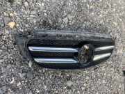 Vorderer oberer Gitter MERCEDES-BENZ E (W213) E 200 (213.042) A2138880123