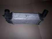 Ladeluftkühler PEUGEOT 407 Coupe (6C_) 2.0 HDi 874823N