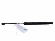 Heckklappe Gasdruckfeder rechts MERCEDES-BENZ S (W221) S 320 CDI (221.022, 221.122) 51247060622