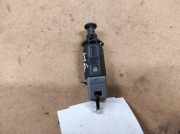 Kupplungspedalsensor RENAULT LAGUNA II (BG0/1_) 1.9 dCi (BG0R) 110894