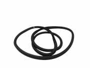 Türgummi rechts vorne VW Touran (1T3) 1T0867911F