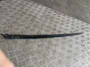 Zierleiste Windschutzscheibe Frontscheibe BMW 3 Gran Turismo (F34) 320 i xDrive 7285947