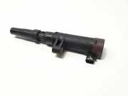 Zündspule RENAULT MEGANE II (BM0/1_, CM0/1_) 1.6 16V (BM0C, CM0C) 216031219