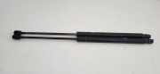 Heckklappe Gasdruckfeder links RENAULT MEGANE II Estate (KM0/1_) 1.9 dCi 8200119498