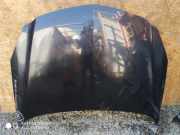 Motorhaube OPEL INSIGNIA A Estate (G09) 2.0 CDTI (35)