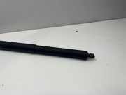 Heckklappendämpfer rechts Land Rover Discovery V (L462) HY3270355AC